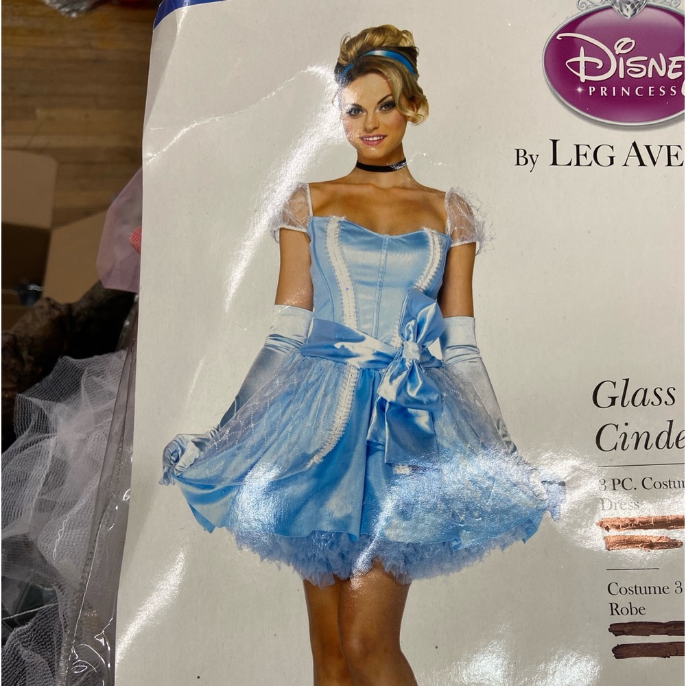 Leg Ave Glass Slipper Cinderella Costume - Large